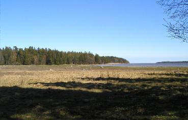 4. Aftonfalksängen Det ängsparti som är syd om Våmskogen, och har fått sitt namn från en