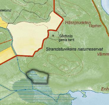 Utöka betesytan vid Snäckviksmaden Varför? Om man ökar betesytan vid de västra delarna av Snäckviksmaden in mot fd Hästhagen så kommer man att skapa en sammanhängande betesområde med annan betad yta.