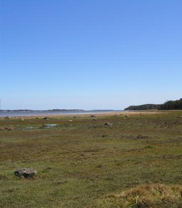 Områdespresentation Här kommer en presentation av de olika områdena som inventerats och med var de är på karta. En del foton på områdena visas också. Strandängar 1.