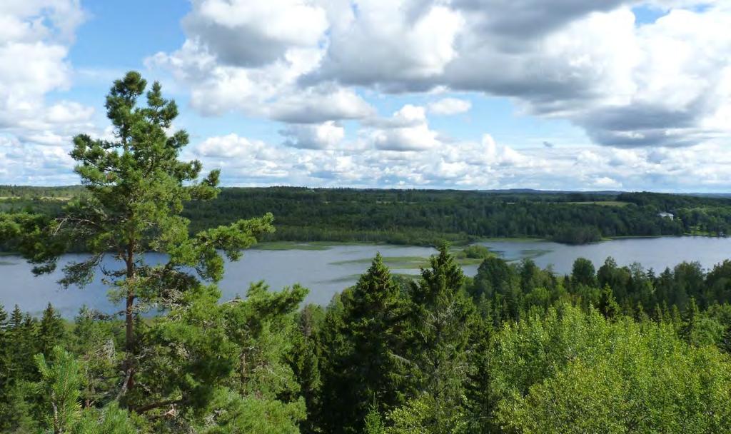 Figur 7. Omgivningarna runt Noen domineras av barrskog, lövskog och jordbruksmark. VATTENKEMI Noen är inte påverkad av försurning. ph-värdet har legat strax under 8 vid mättillfällena.