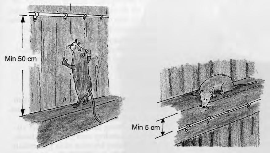 För att undvika råttangrepp på kablar bör de placeras minst 50 cm över och minst 5 cm under horisontella ytor.
