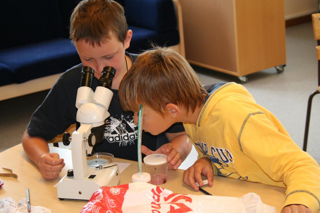 förskole och skolverksamhet som är tillgänglig för alla barn och unga.