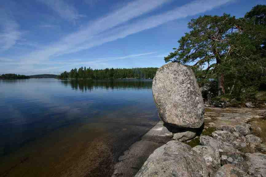 Söndagen den 21 maj: Utflykt till Romanäs naturreservat Kl 10:00. Samåkning från Parkhallen, Tranås kl 9:30. Naturutflykt till Romanäs udde, med guidning av Thomas Fasth.