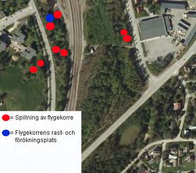 41, STFM 2018-06-11 14:00 / :s bilaga: Bilaga 41 B, stfm 11.6.2018 NATURINVENTERING LUONTOSELVITYS BILAGA 3 LIITE 3 6.