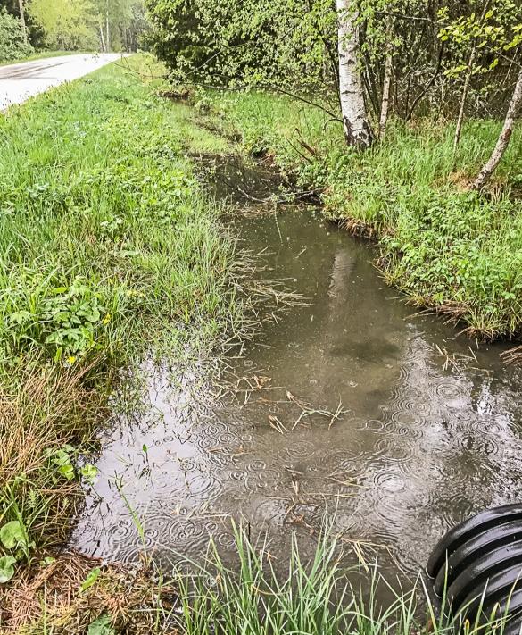 Bilaga 1. Bilder från inventeringen Figur 9. Dike i utredningsområdets västra del.