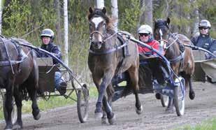 av ett kommanditbolag med 20 andelar.