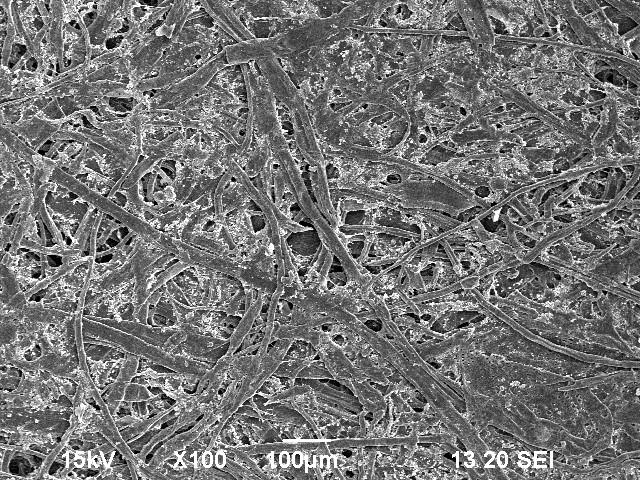 2017-05-03 Kemi & Material 31 Papper Papper är helt enkelt cellulosafibrer. Storleksordning ~10 µm diameter. De största och mest odefinierade porerna.