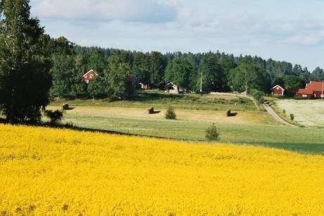 Energi från