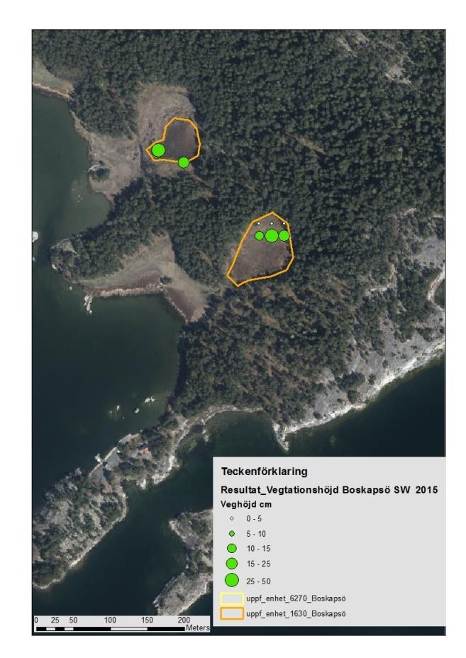 Jämförelse av vegetationshöjd