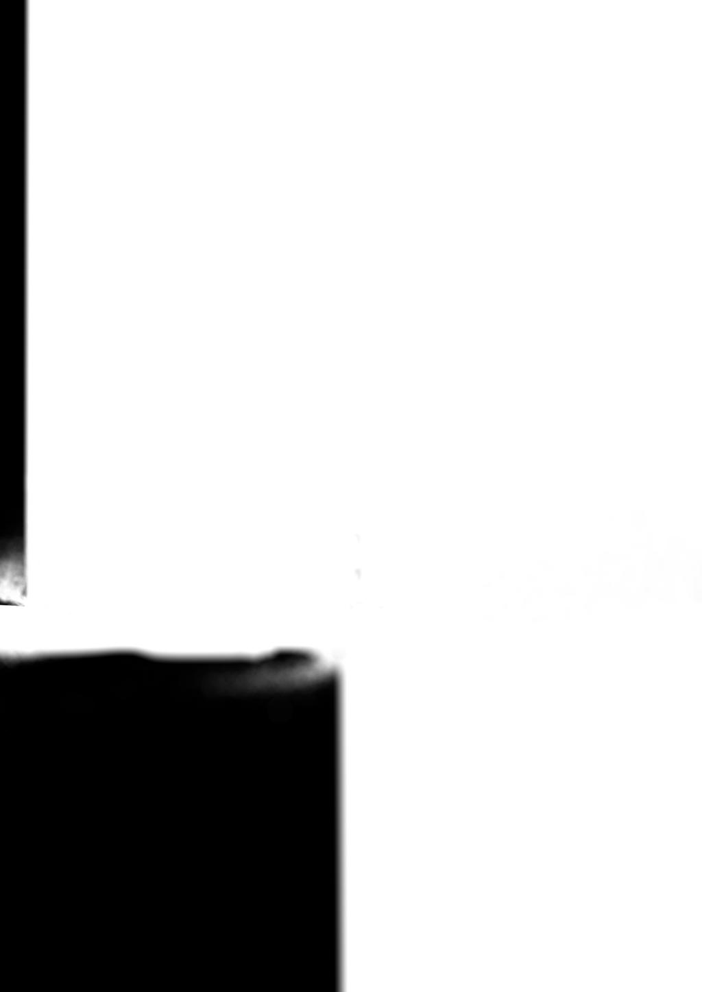 Lutade skärlägen Lutade skärlägen med en skena stabiliserar skäret och eliminerar risken för