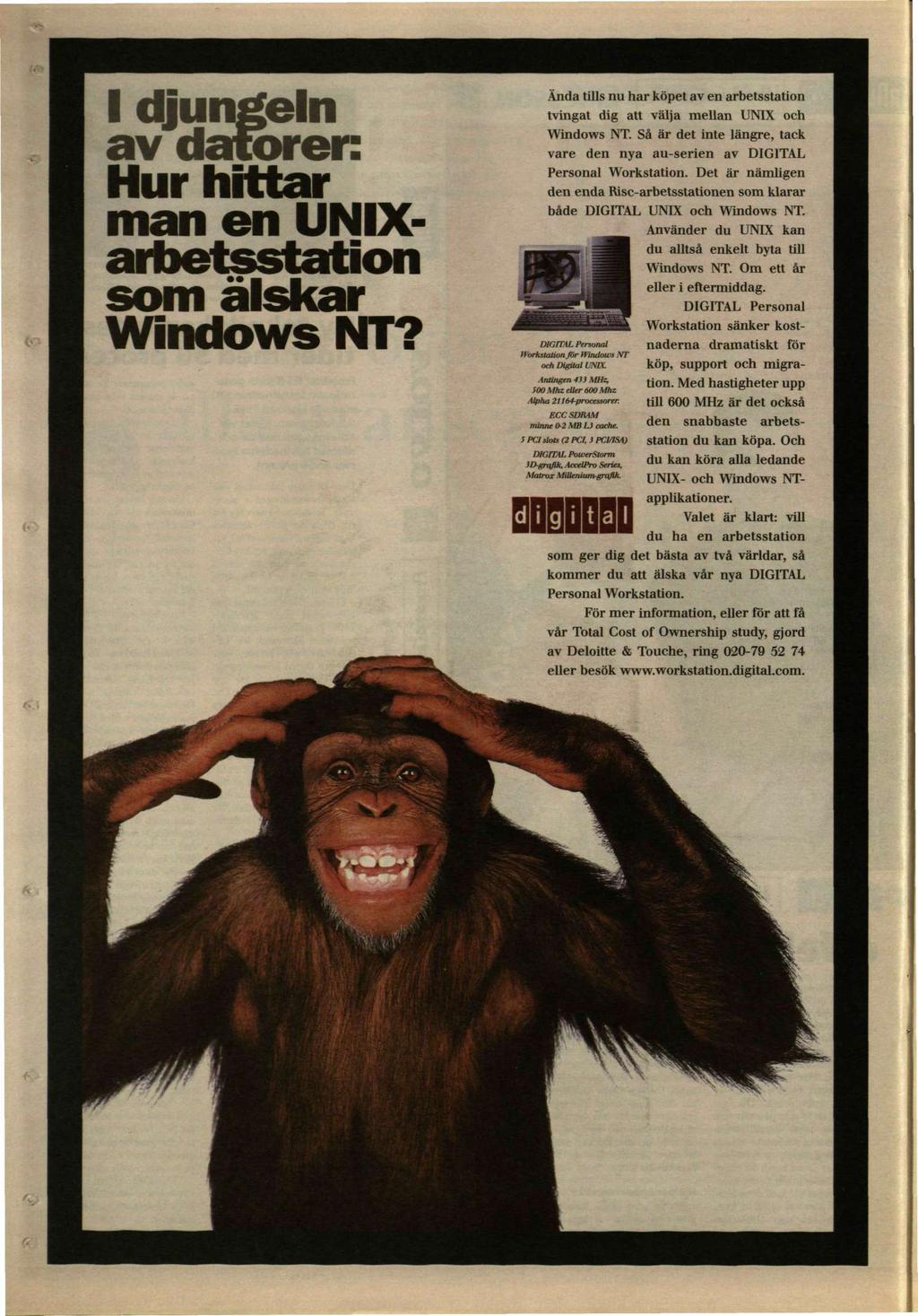 I djungeln av datorer: Hur hittar man en UNIXarbetsstation som älskar Windows NT? DIGITAL Personal Workstation Jbr Windows NT och Digital UNIX.