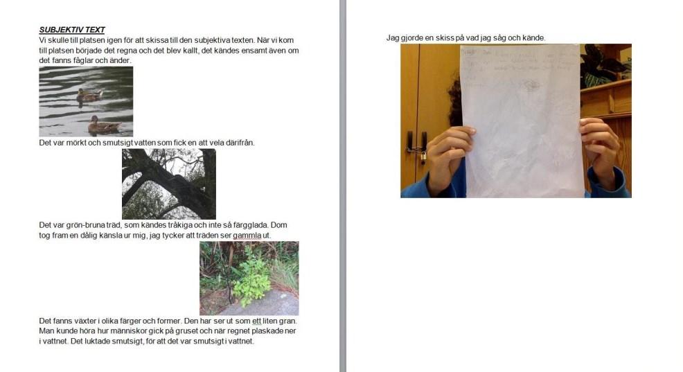 o o Vilka modaliteter fungerar bäst med tanke på syfte, tänkt läsare och innehåll, utifrån olika modaliteters potential för meningsskapande?
