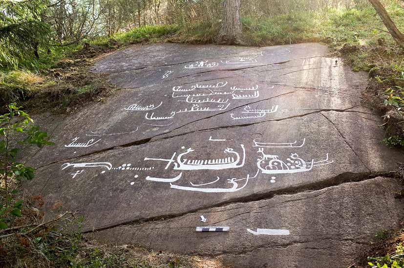 14 Bohusläns museum Rapport 2017:13 Figur 12. Tanum 501 :1 är en relativt stor hällristning med motiv typiska för yngre bronsålder.