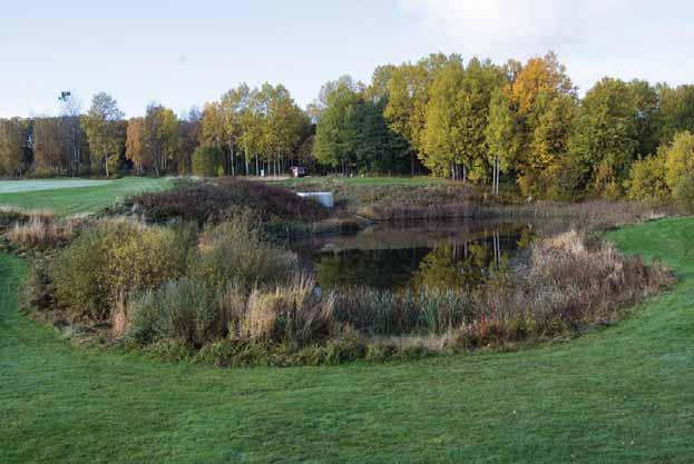 Naturvärdesinventering Lerjedalens golfbana, Naturcentrum AB Påtagligt naturvärde (klass 3) Våtmark 1 Yta: 2 800 m² Koordinater: O 1280137 N 6413774 I terrängen djupare liggande våtmark med branta