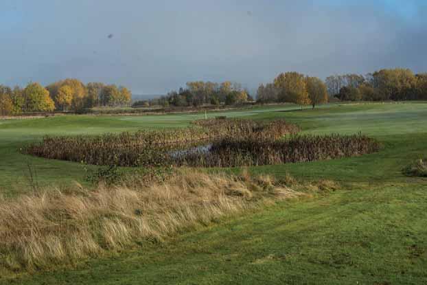 Naturvärdesinventering Lerjedalens golfbana, Naturcentrum AB Bedömning påverkan/förslag på åtgärder: våtmarken ligger utanför riskzonen för direkt påverkan från upplagen.