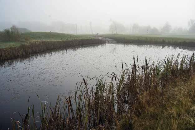 Naturvärdesinventering Lerjedalens golfbana, Naturcentrum AB Våtmark 10 Yta: 900 m² Koordinater: O 1281140 N 6413873 Mindre våtmark med måttlig näringsbelastning.