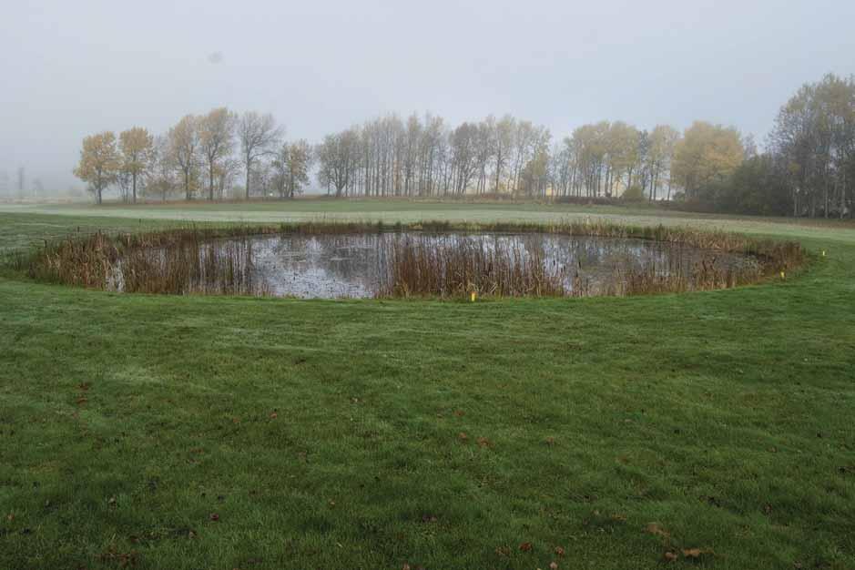 Naturvärdesinventering Lerjedalens golfbana, Naturcentrum AB Våtmark 7 Yta: 800 m² Koordinater: O 1281403 N 6413780 Liten grund våtmark med måttlig näringspåverkan.