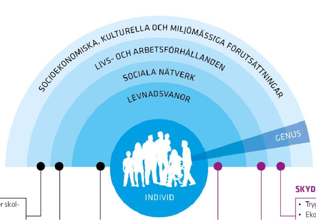 Faktorer som påverkar hälsan