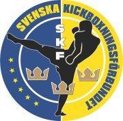 Verksamhetsberättelse 2011 Svenska