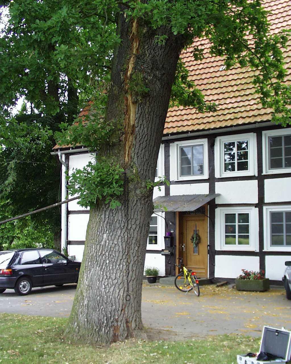 Följdverkan av blixturladdning Direkt blixtinslag Fuktigheten i