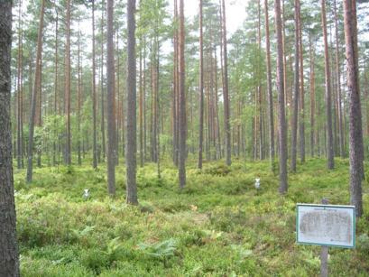RAPPORT För Blekinge läns Luftvårdsförbund Tillståndet i skogsmi