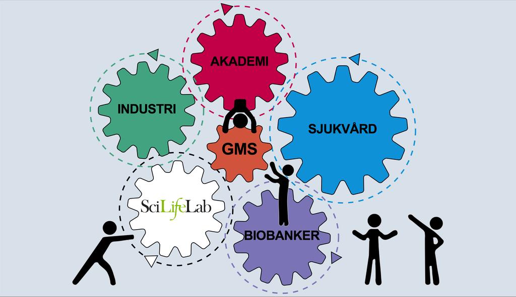 GMS i interaktion tillsammans med SÖSR Genomic