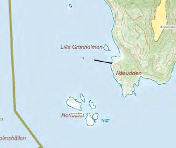 10. Ringö, Näsudden Datum: 2008-07-02 Startkoordinater: N 58,74368 E 17,42562 Profilens