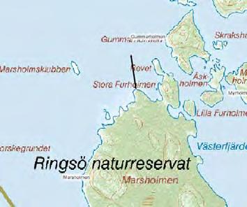 11. Ringsö, Marsholmen Datum: 2008-07-02 Startkoordinater: N 58,73628 E 17,43587 Profilens riktning: 330 Transekten är