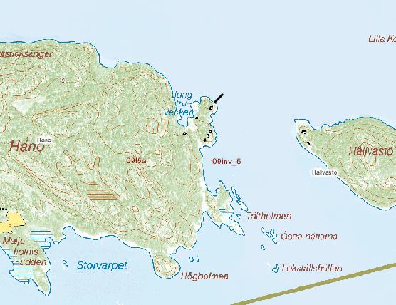 Fågelöfjärdens vattenområde 31.