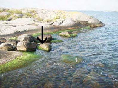 Enligt vattendirektivet ligger lokalen inom Östergötlands och Stockholms skärgårds mellankustvatten