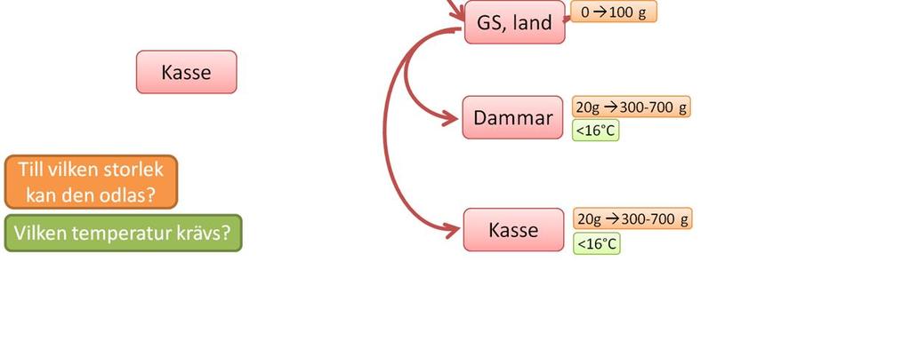 För att kunna odla röding i dammar eller kassar krävs tillgång på vatten som inte överstiger ca 16 C annat än mycket korta perioder.