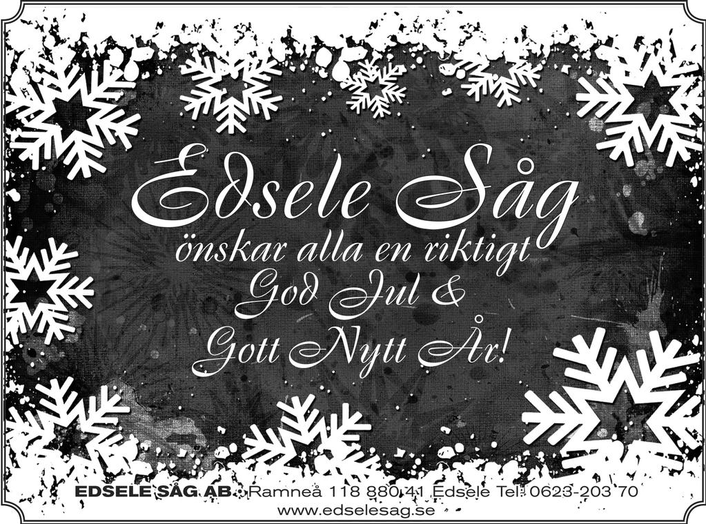 alla en riktigt God Jul & ett Gott Nytt År! Boots fr. Julgodis till hunden!