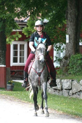 Nipr (SE) Probat (SE) Nidshem (SE) Wasa Wystalka (SE) Martin (SE) Wielogora (SE) Hingst, Arabiskt Fullblod, fo dd 2008 Uppfo dare: Sigrid Gadde Jennische Tfn. 070-626 70 77, e-post: sigrid.gadde.