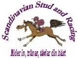Utan ha star och ryttare blir det ingen final, sa ett stort tack a ven till er ryttare som deltog i 2013 a rs final!