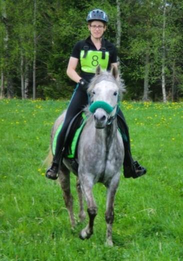 Gomir (SE) Gazijah Gancia (SE) Gokart(PL) Mirza (SE) Samurai(SE) Sharante (GB) Sto, Arabiskt Fullblod, fo dd 2007 Uppfo dare: Ingela Brinkefeldt, ArabHa sthagen Tfn. 070-359 22 86, e-post: gomir.