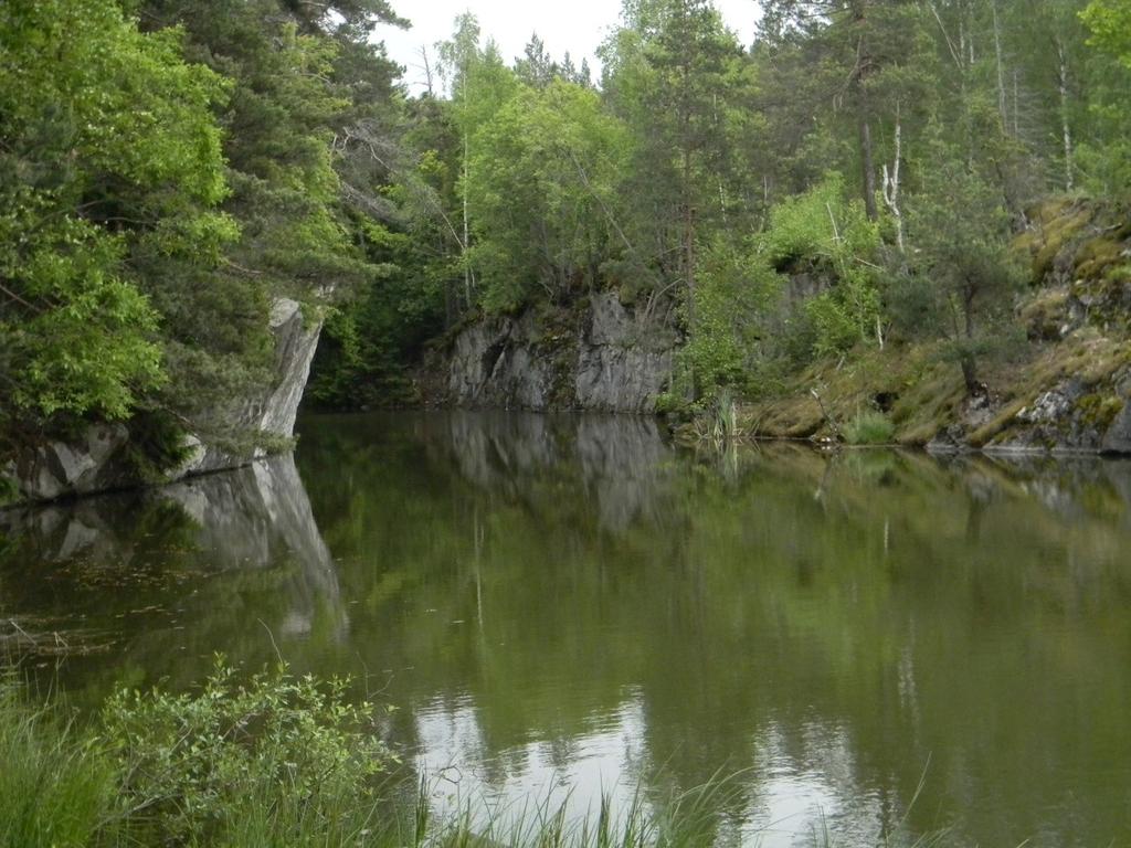 Figur 20 Ett gammalt kalkdagbrott i Pargas som man efter upphörd gruvdrift har låtit fyllas med grundvatten och där det numera lever vattendjur och växtlighet (eget fotografi).