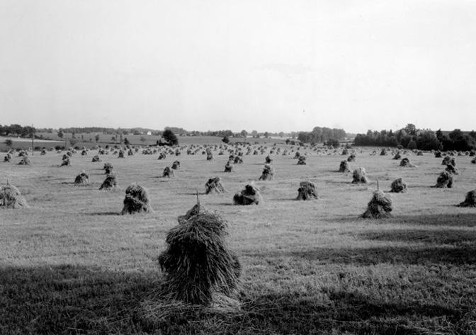 1900-talet.