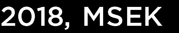 Vid sidan om att uppnå ökad förhandlingskraft gentemot leverantörer möjliggör konsolidering gemensamma investeringar i systemstöd för digitalisering och ökad online-närvaro.