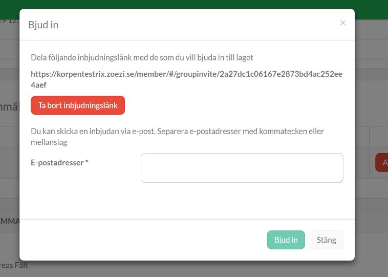 4. Här finns två möjligheter att bjuda in spelare till laget: a. Du kan välja att dela en länk (till exempel via sociala media). Tänk på att alla som får länken har möjlighet att gå med i laget! b. Du kan skriva in e-postadress till den/de som ska bjudas in.