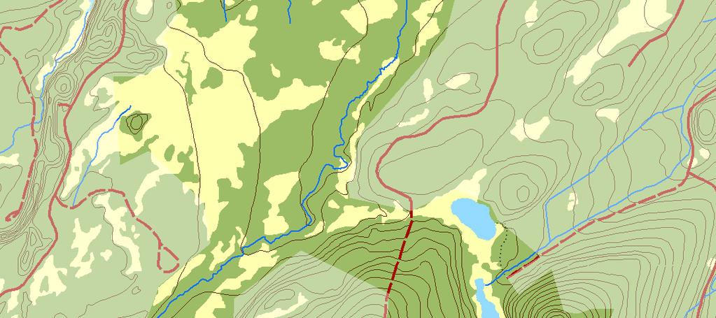 naturreservatet Contortaplantering VMI klass