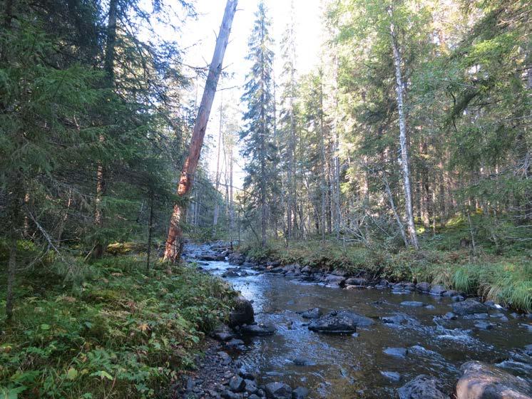Beslut Datum 2015-04-13 511-84-15 Dnr (anges vid skriftväxling) 1 / 12 Enligt sändlista Beslut för bildande av Öraåns naturreservat Uppgifter om naturreservatet Naturreservatets namn: Öraån Län: