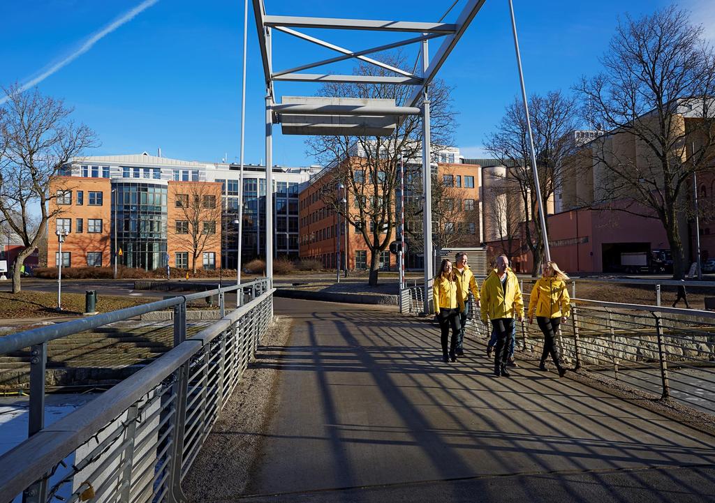 IAR Systems Group AB Delårsrapport jan-jun 217 IAR Systems Group AB
