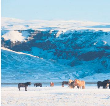 Bændablaðið Fimmtudagur 26.