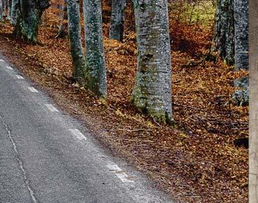 akustiktavlor för en