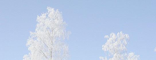 till medlemmar i Luleå skärgårdsförening. December 2018 Hallåj alla skärgårdsvänner! Trist att säga, men jag tror att vi är en samling skärgårdsvänner som ser ut att avta i antal.