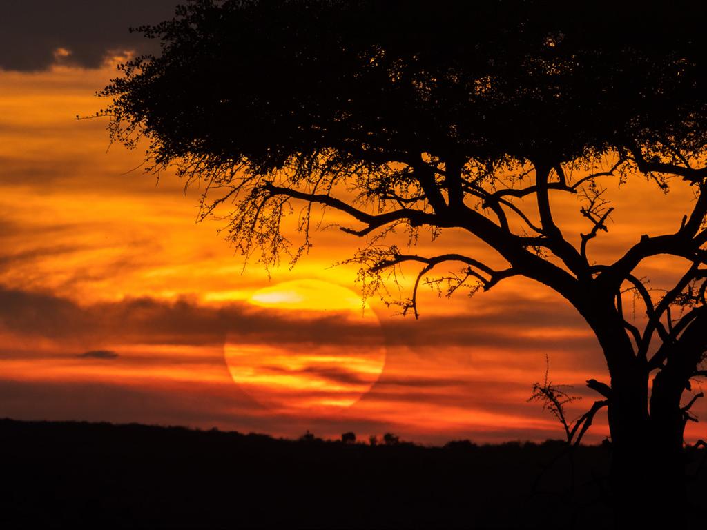 Denna fotoresa till Kenya och Masai Mara (eller bara Mara) kommer ta dig till Kenyas sydvästra sida mot gränsen av Tanzania. Vi åker i den så kallade lilla regnperioden som infaller i november.