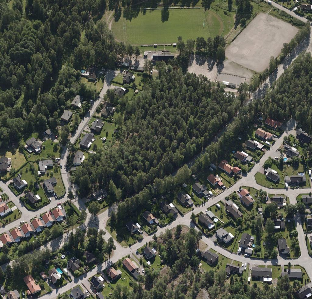 MARKANVISNINGSTÄVLING Skogsvallen Flygfoto Terratec