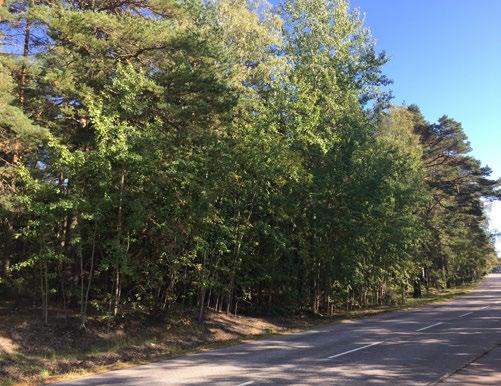Vy från väg mot området västerut. Vy inne i området från sydväst. Vy från väg mot området österut. Vy inne i området från sydöst. Tomten med omgivningar.