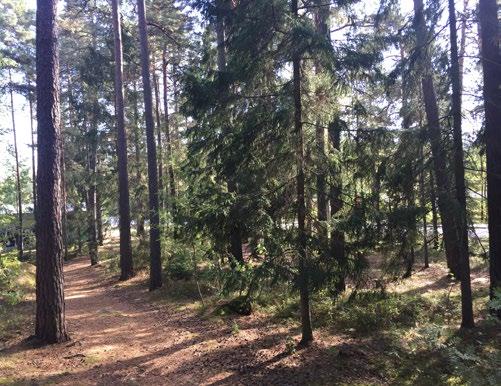 Tävlingstomten ingår i Detaljplan för Torlunda S:2 som är under framtagande. Granskning beräknas ske under vinter 2018. Tävlingsområdet kommer att planläggas för bostäder i form av radhus.