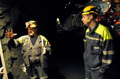 Malm, manlighet och mystik Gruvbranschen är manlig på ett konkret sätt nästan bara män många mansdominerade yrken och arbetsplatser 84 % av gruvarbetarna är män 80 % av alla anställda på företagen är